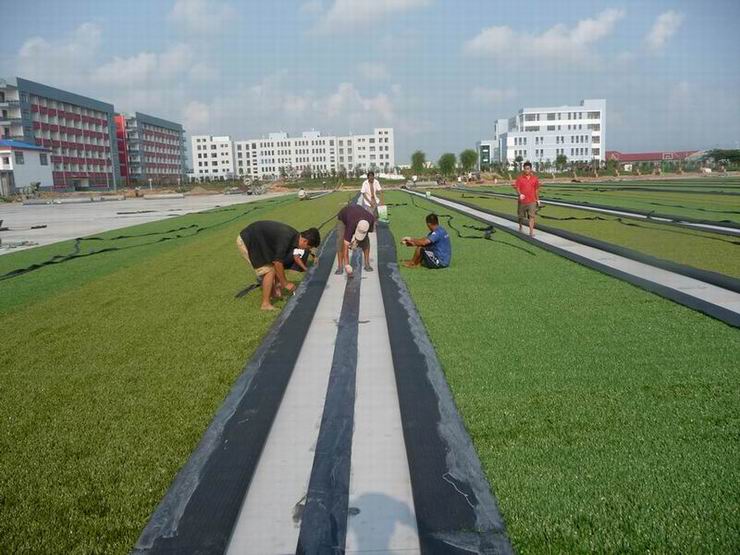 運(yùn)動(dòng)場人造草坪施工案例價(jià)格圖