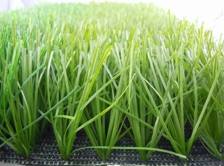 運(yùn)動(dòng)場人造草坪價(jià)格細(xì)節(jié)圖片